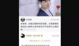 卓伟爆料张艺昕视频在线观看,张艺昕私密视频在线观看，真相揭秘