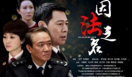 因法之名在线观看,揭秘法律背后的故事与智慧